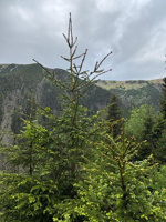 stažený soubor (34)